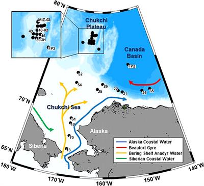 Geographic variation in population structure and grazing features of Calanus glacialis/marshallae in the Pacific Arctic Ocean